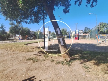 Imagen 14
