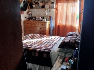 Imagen 11