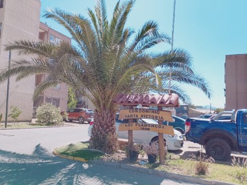 Venta / Departamento / Maipú