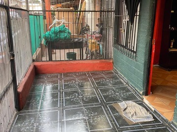 Imagen 3