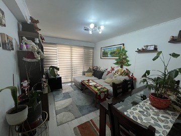 Imagen 6