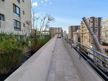 Imagen 7