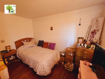 Imagen 11