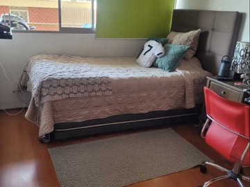 Imagen 11
