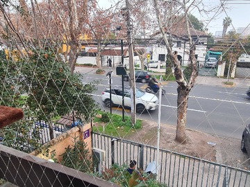 Imagen 15