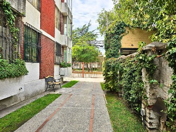Imagen 23