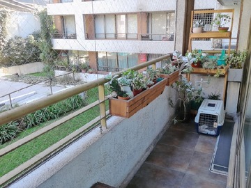 Imagen 5
