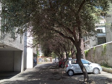 Imagen 16