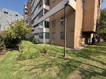 Imagen 16