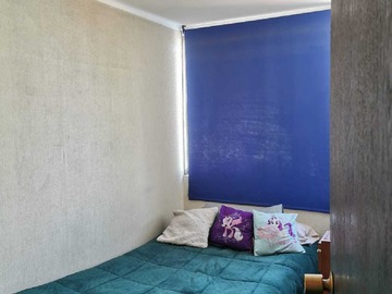 Imagen 7