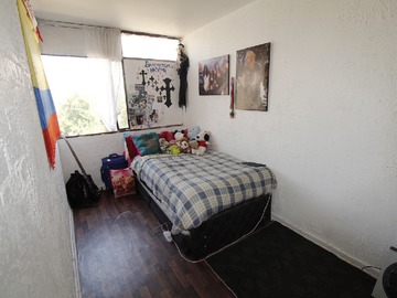 Imagen 12