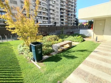 Imagen 15