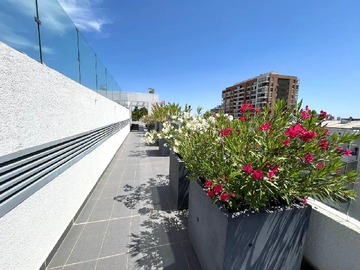 Imagen 17