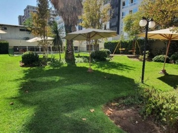 Imagen 5