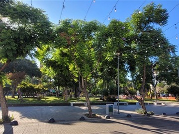 Imagen 25
