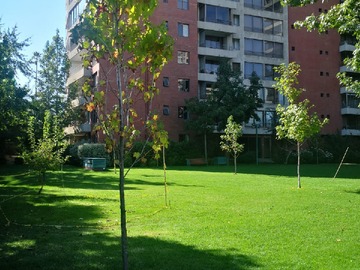 Imagen 14