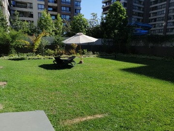 Imagen 13