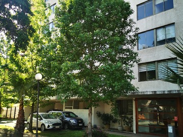 Venta / Departamento / Ñuñoa