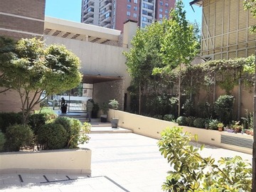 Imagen 5