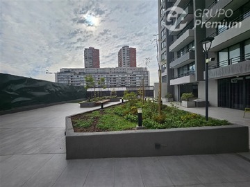 Imagen 7