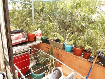 Imagen 9
