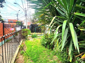 Imagen 11