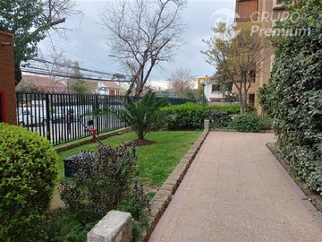 Imagen 20