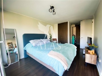 Imagen 11