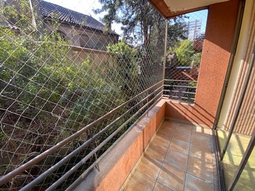 Imagen 7