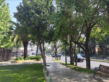 Imagen 6