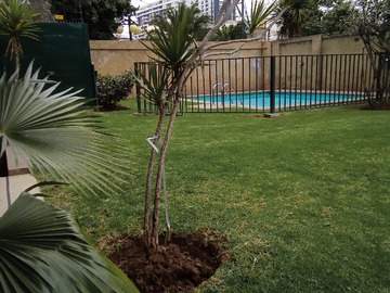 Venta / Departamento / Ñuñoa