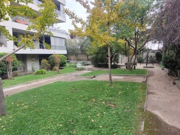 Imagen 25