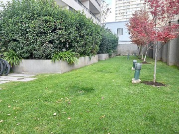 Imagen 28