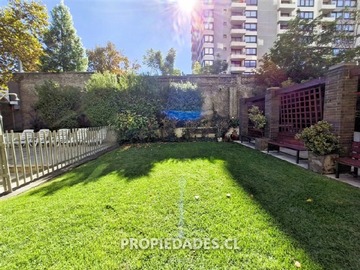 Imagen 12