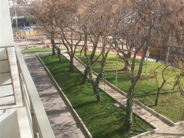 Imagen 13