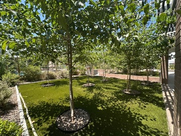 Venta / Departamento / Ñuñoa