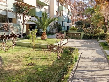 Imagen 7