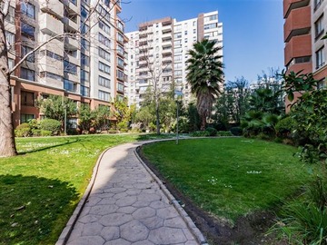 Imagen 24