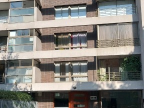 Imagen 14