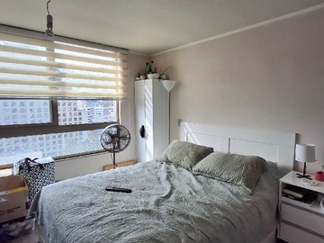 Imagen 8