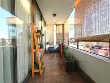 Imagen 11