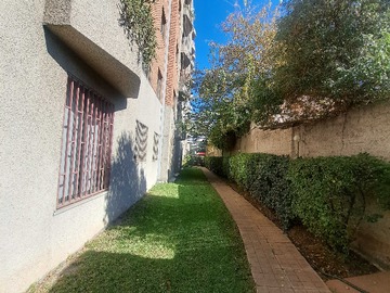 Imagen 14