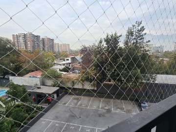 Imagen 5