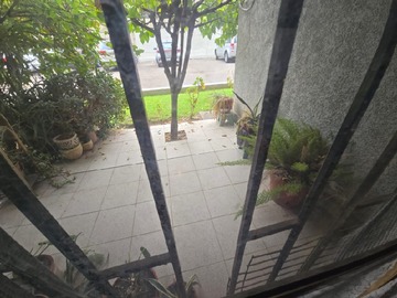 Imagen 22