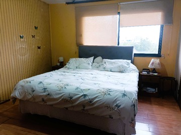 Imagen 12