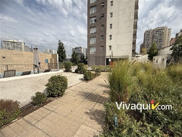 Imagen 8