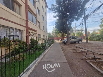 Imagen 5