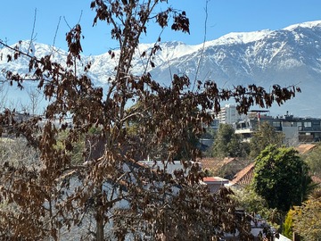 Imagen 8