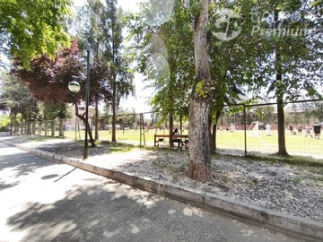 Imagen 26