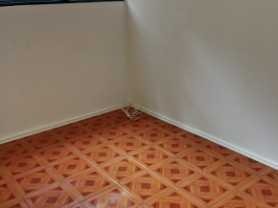 Imagen 5